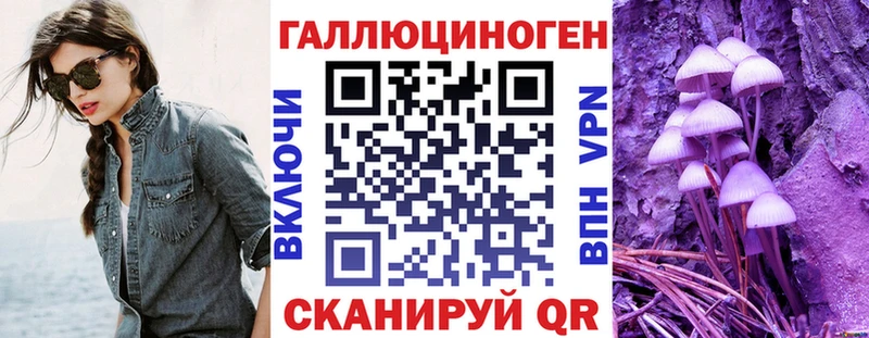 Галлюциногенные грибы Psilocybine cubensis  дарнет шоп  Новая Ладога 