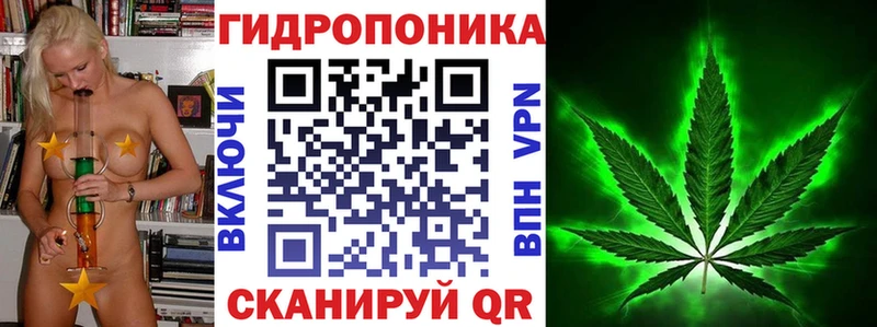 Конопля индика  Новая Ладога 